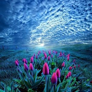 Meet your Posher, Teri